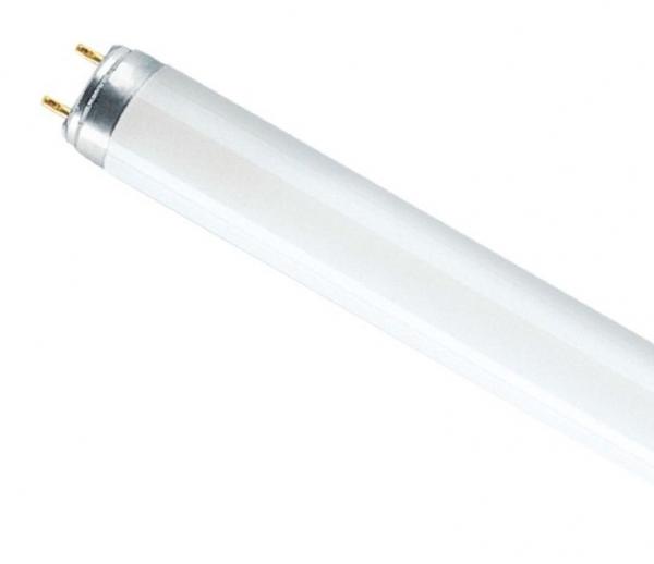 Люминесцентная лампа OSRAM L 36Вт 640 G13 4000K Смоленск